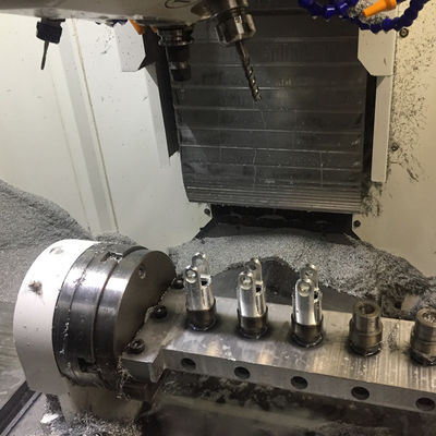 Il CNC rapido su misura di alta precisione si separa la finitura superficia d'anodizzazione ricoprente della polvere